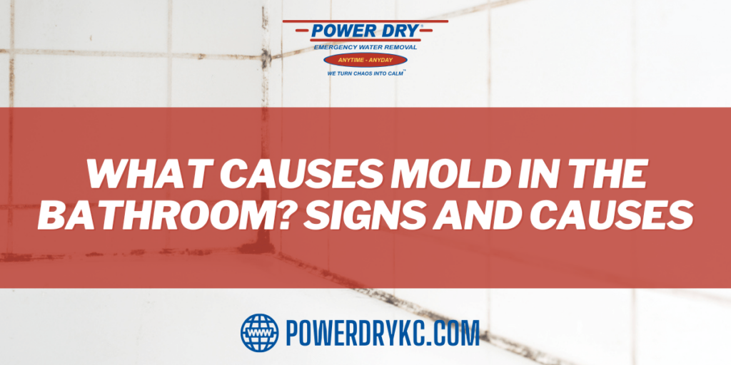 What Causes Mold in the Bathroom Signs and Causes